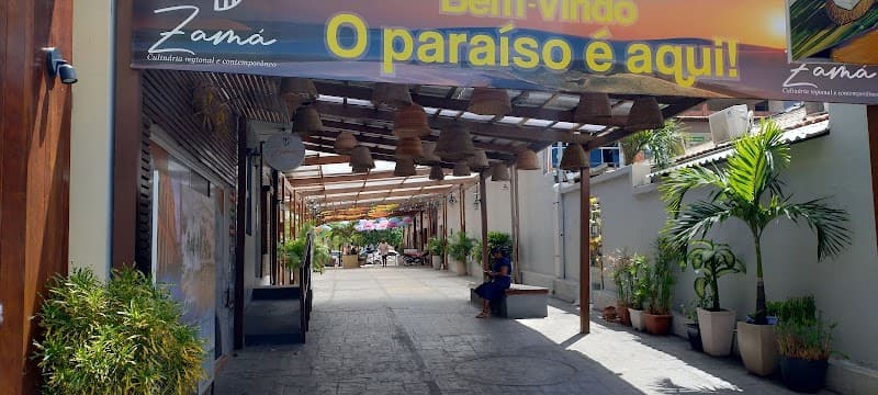 O Bambu