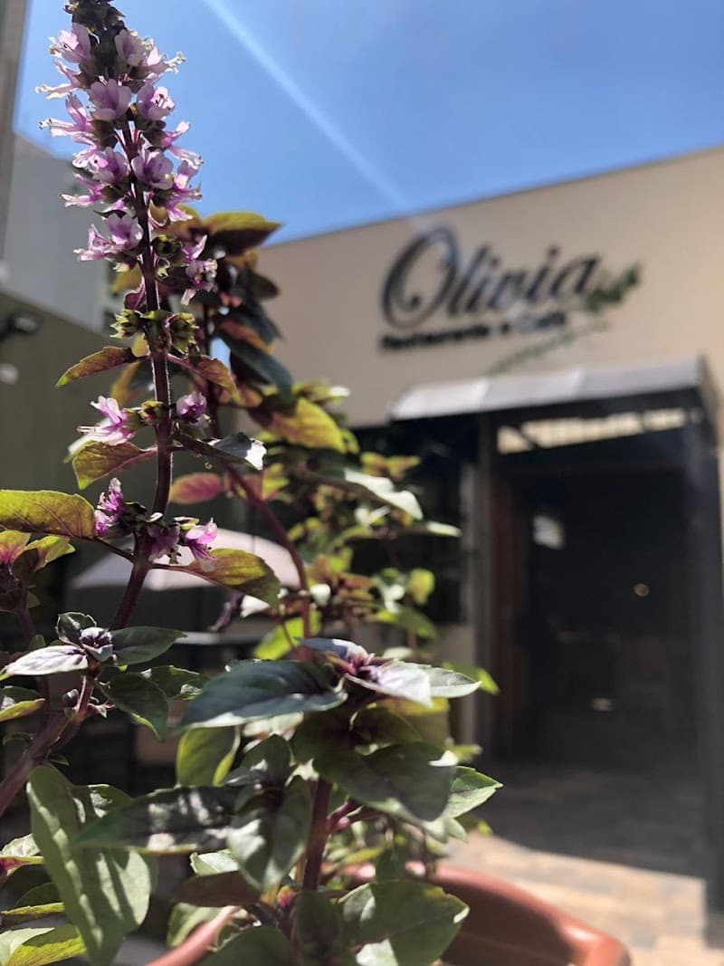 Olivia Culinária Mediterrânea | Restaurante por quilo em Taubaté