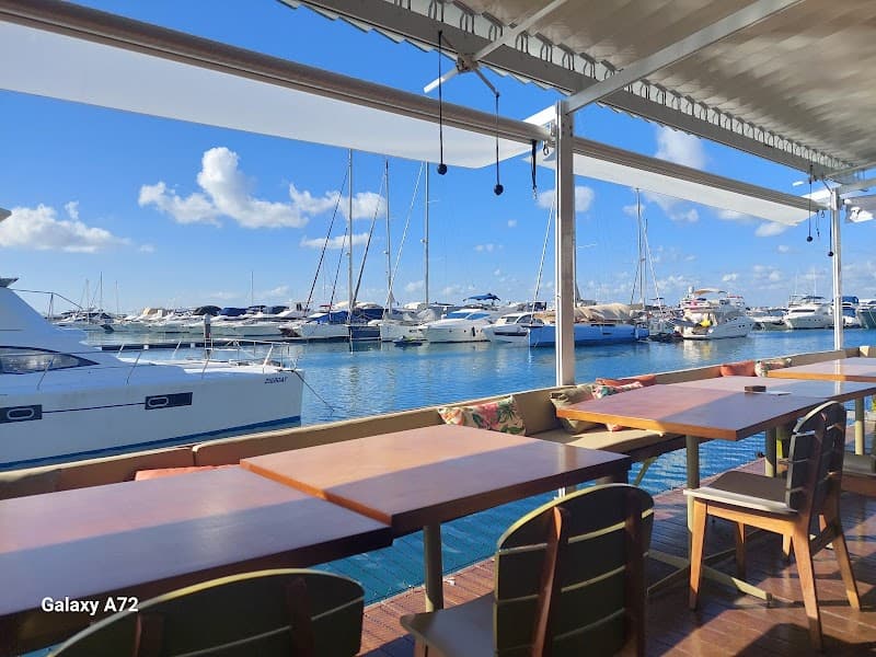 O Lôro Bahia Marina: Barraca de Praia, Restaurante, Bar, Salvador BA