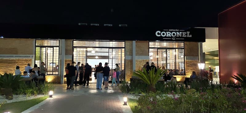 Estação Coronel