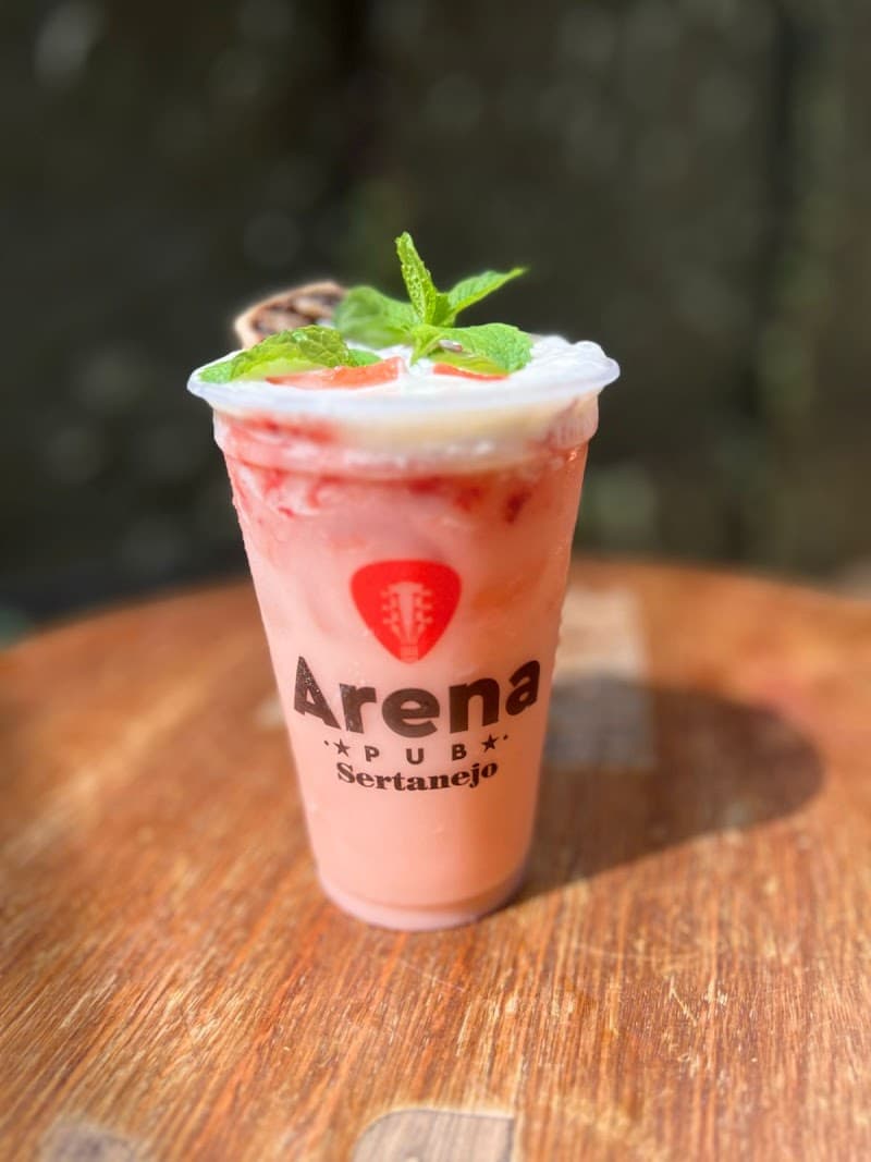 Arena Pub Sertanejo